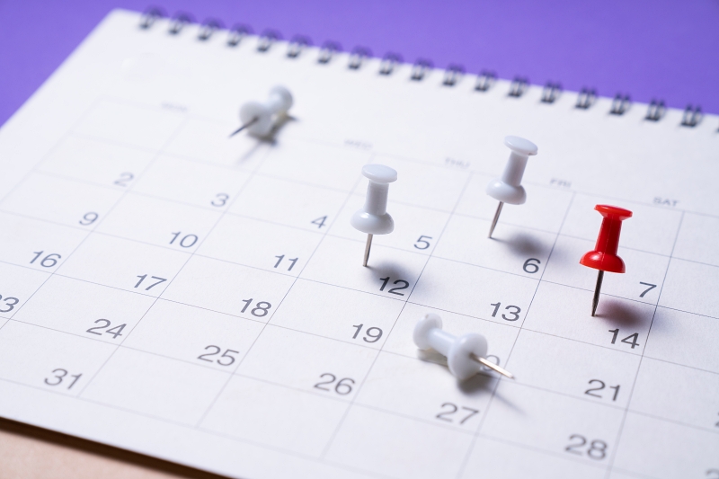 O que é sazonalidade nas vendas e como preparar a sua empresa?